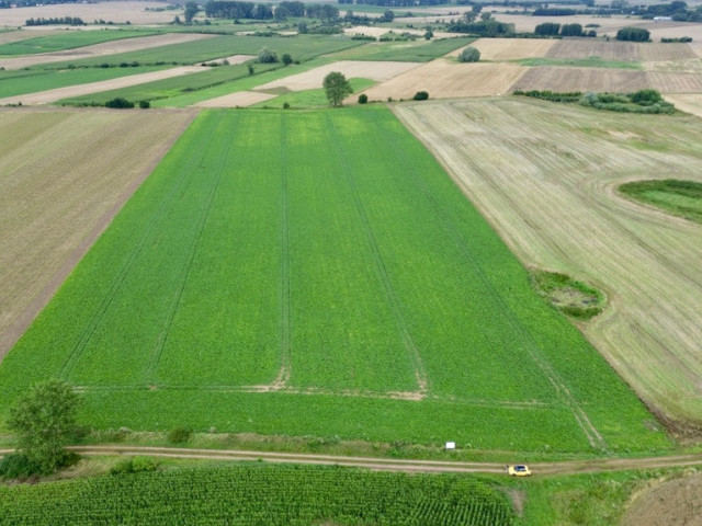 Działka Sprzedaż Bielice