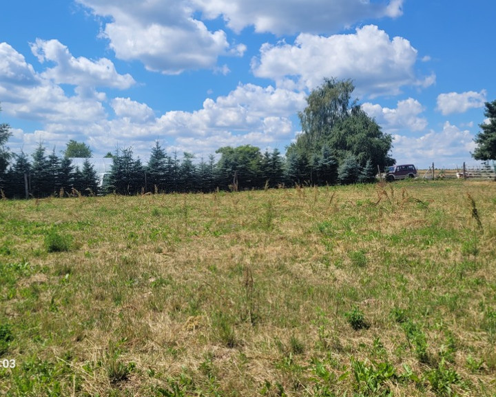 Działka Sprzedaż Wiśniewo