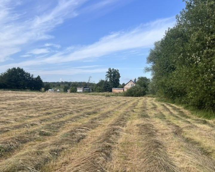 Działka Sprzedaż Tatynia
