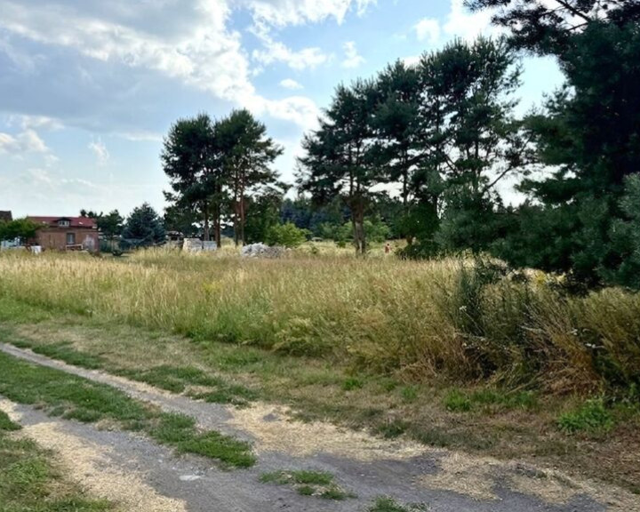 Działka Sprzedaż Modrzewie