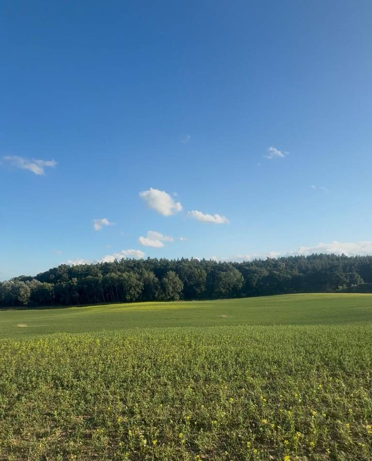 Działka Sprzedaż Buk