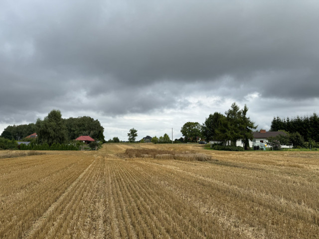 Działka Sprzedaż Kolonia Maszewo