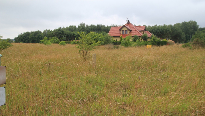 Działka Sprzedaż Charzyno