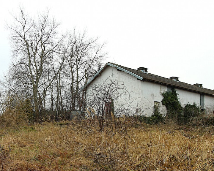 Działka Sprzedaż Żarowo
