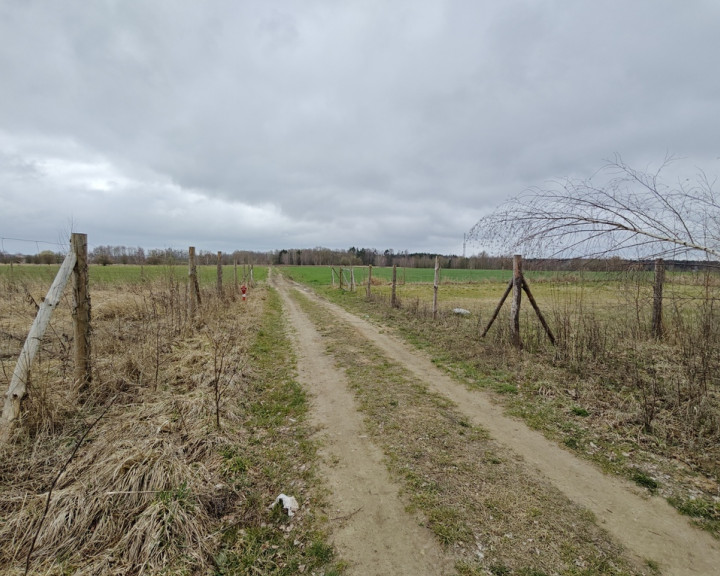 Działka Sprzedaż Wąwelnica