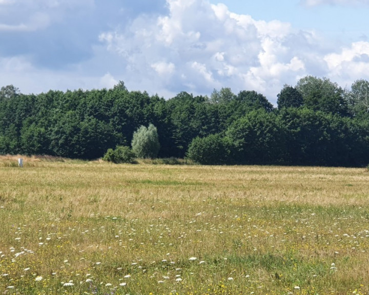 Działka Sprzedaż Dobropole Gryfińskie