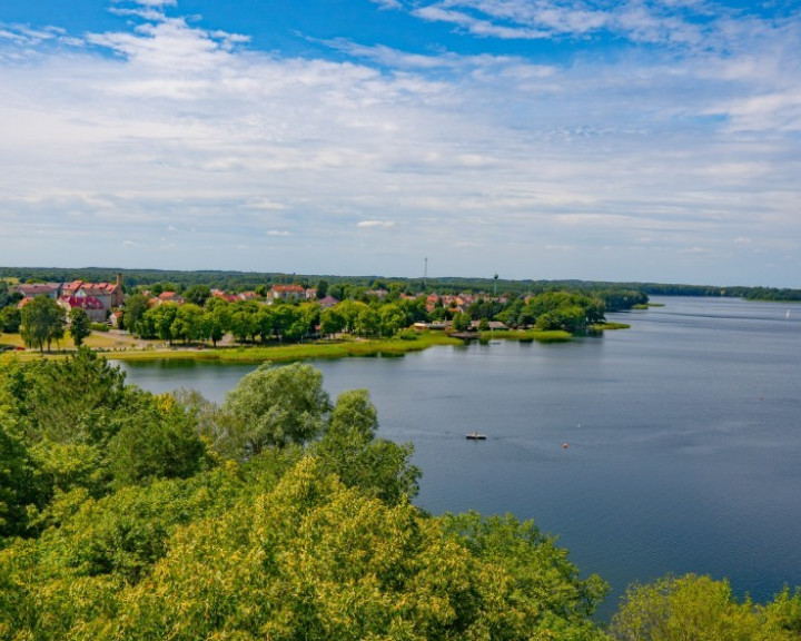 Działka Sprzedaż Ścienne