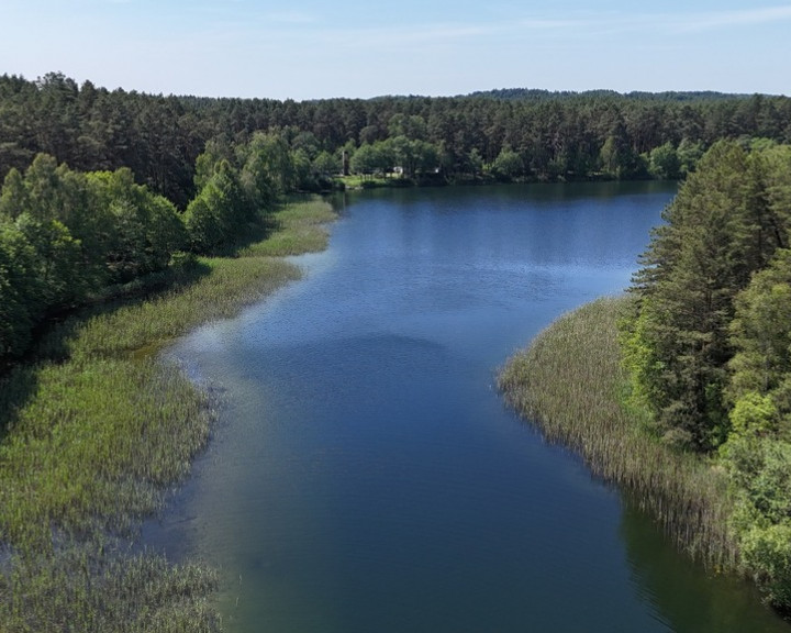 Działka Sprzedaż Byszyno