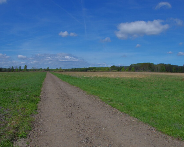 Działka Sprzedaż Niedźwiedź