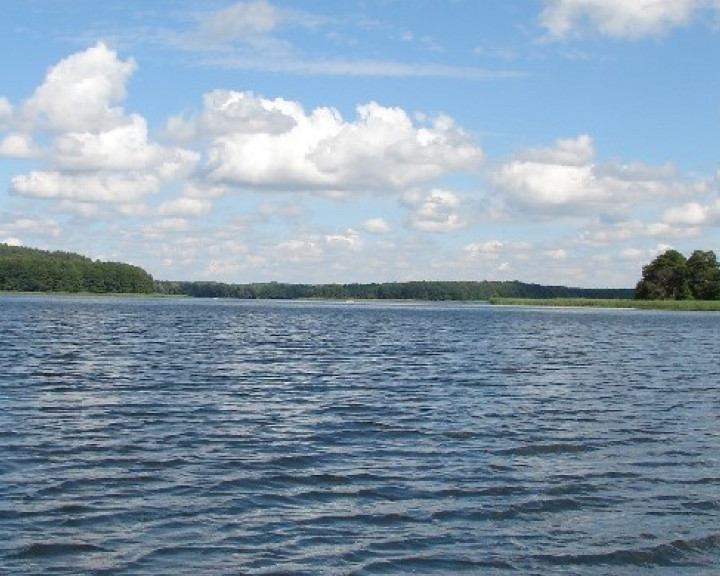 Działka Sprzedaż Dąbrowica