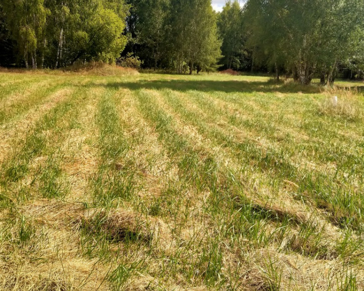 Działka Sprzedaż Grzepnica