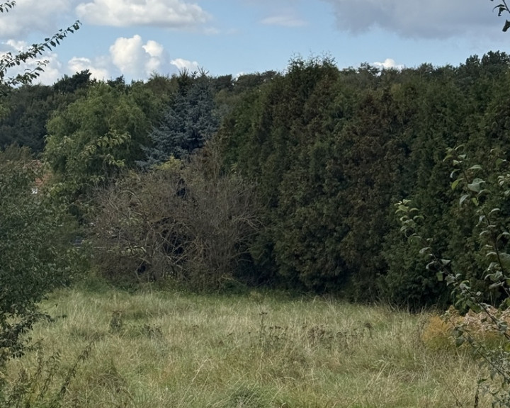 Działka Sprzedaż Szczecin Pilchowo