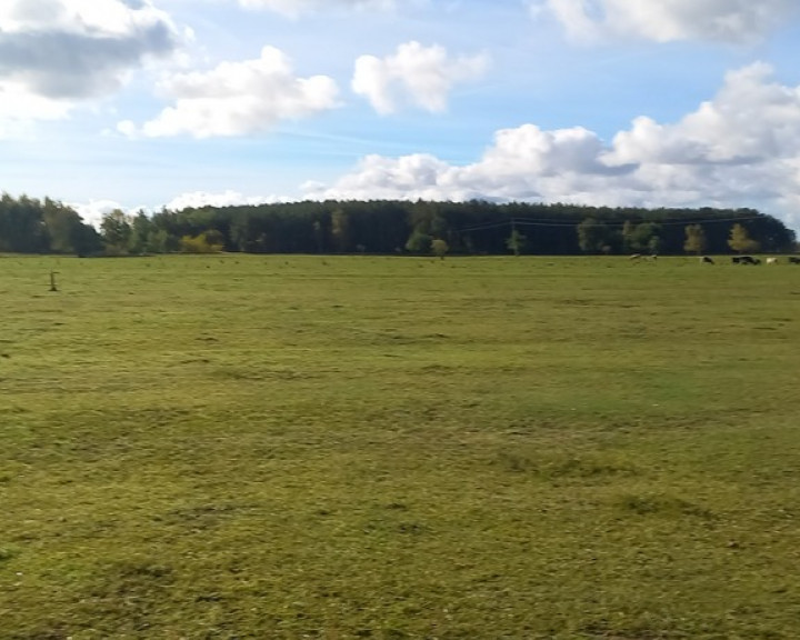 Działka Sprzedaż Borzysławiec