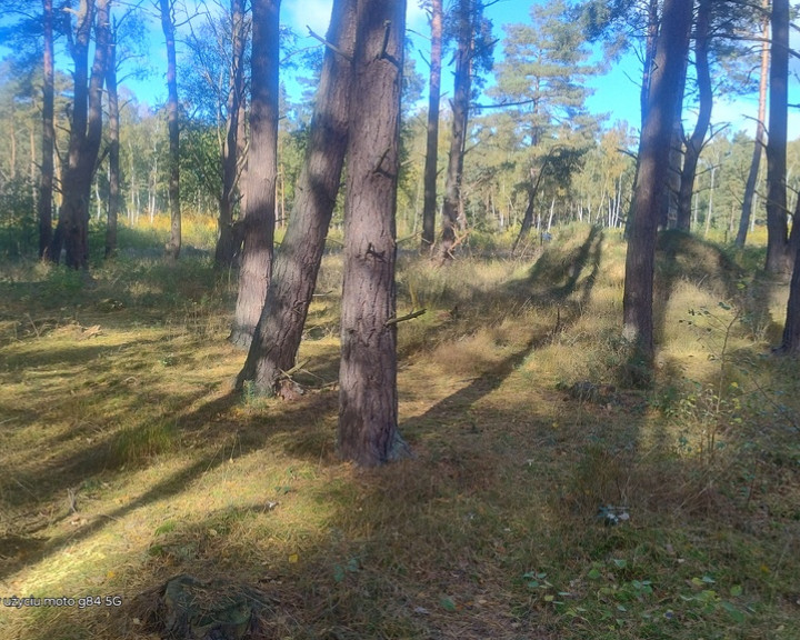 Działka Sprzedaż Dziwnów
