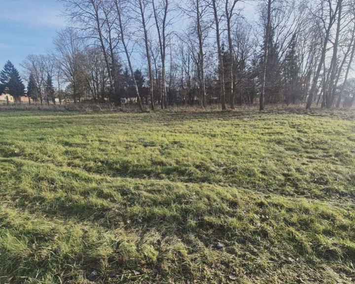 Działka Sprzedaż Tatynia