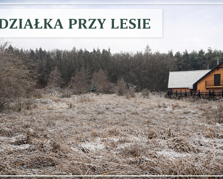 Działka Sprzedaż Pilchowo