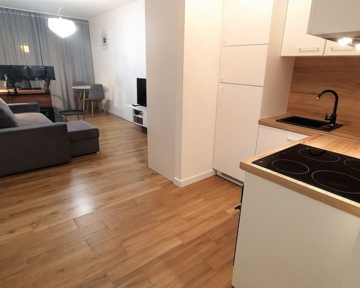 Mieszkanie Wynajem Szczecin Śródmieście-Centrum Potulicka