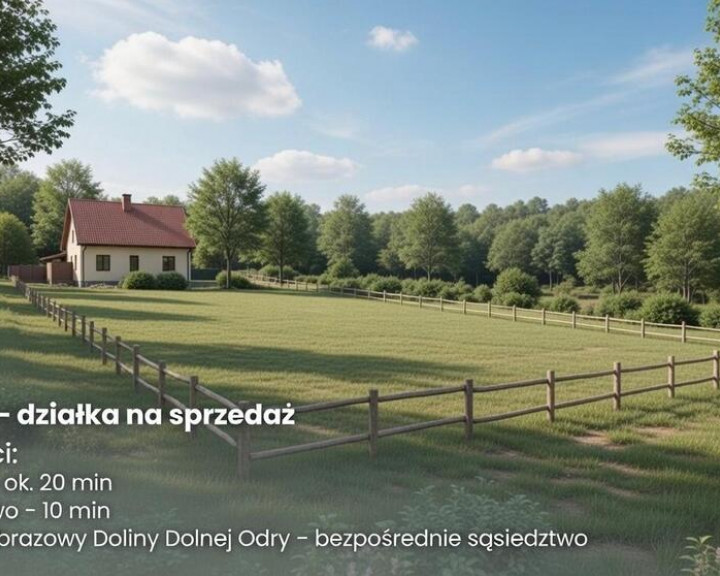 Działka Sprzedaż Moczyły