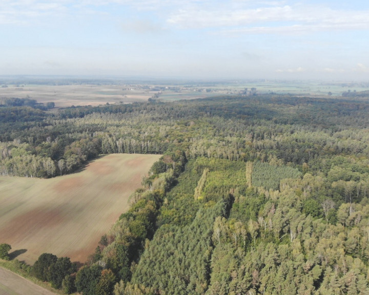 Działka Sprzedaż Rów