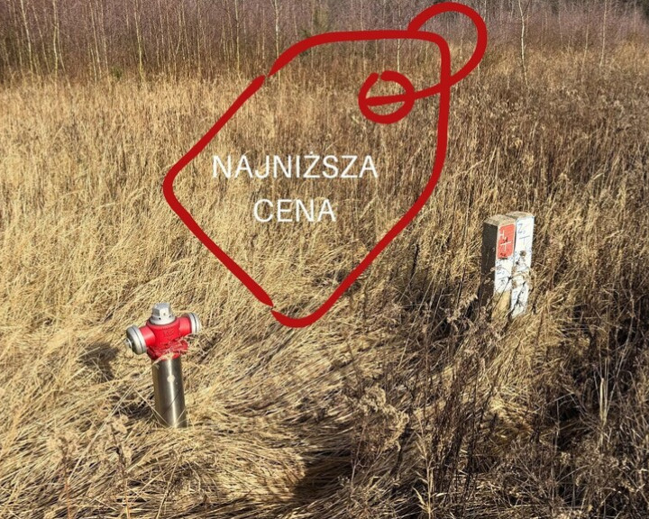 Działka Sprzedaż Żółwia Błoć