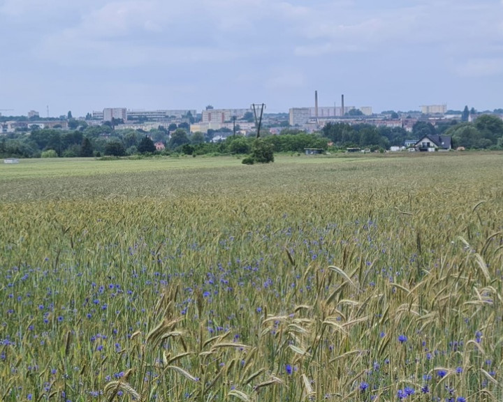 Działka Sprzedaż Stargard