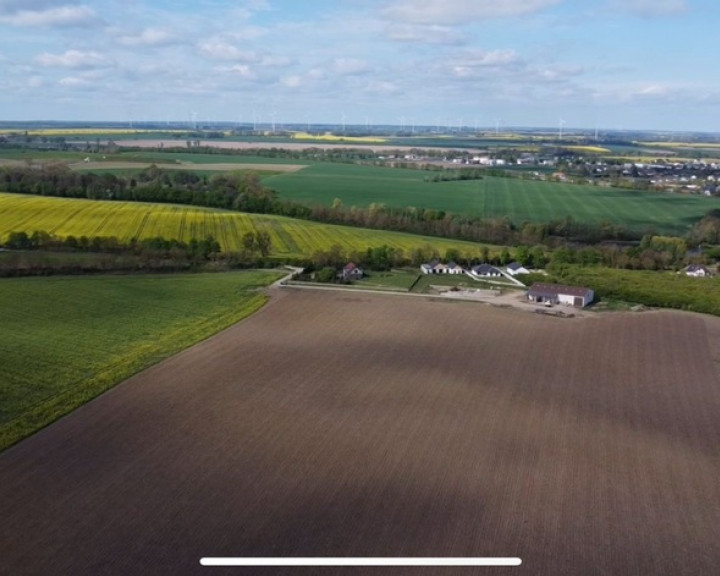 Działka Sprzedaż Pyrzyce