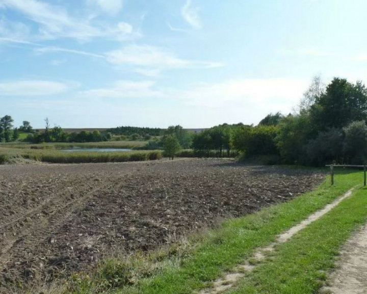 Działka Sprzedaż Zieleniewo