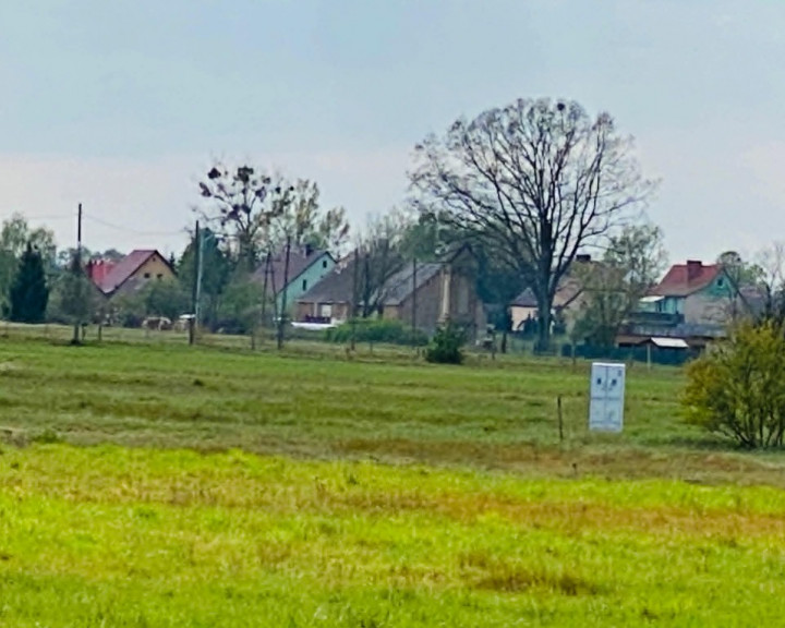 Działka Sprzedaż Miłowo