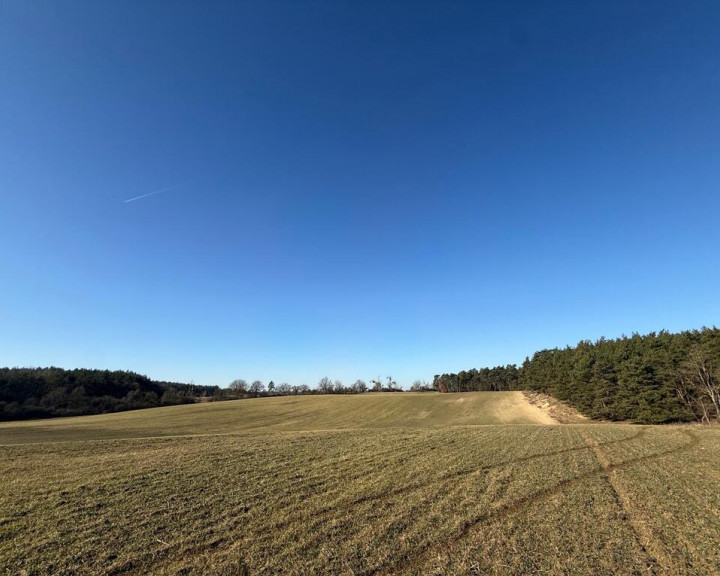 Działka Sprzedaż Buk