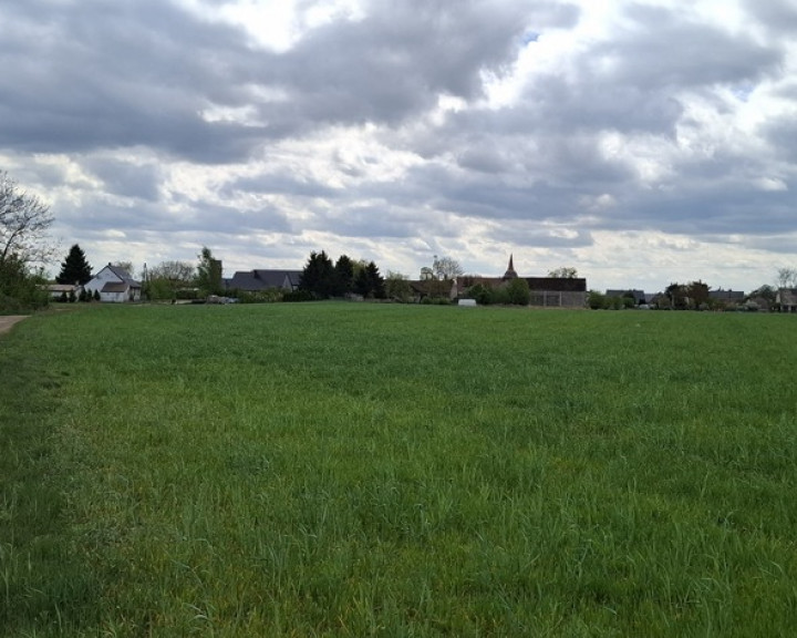 Działka Sprzedaż Bagna