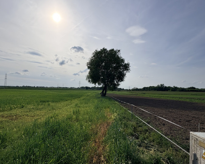 Działka Sprzedaż Przęsocin