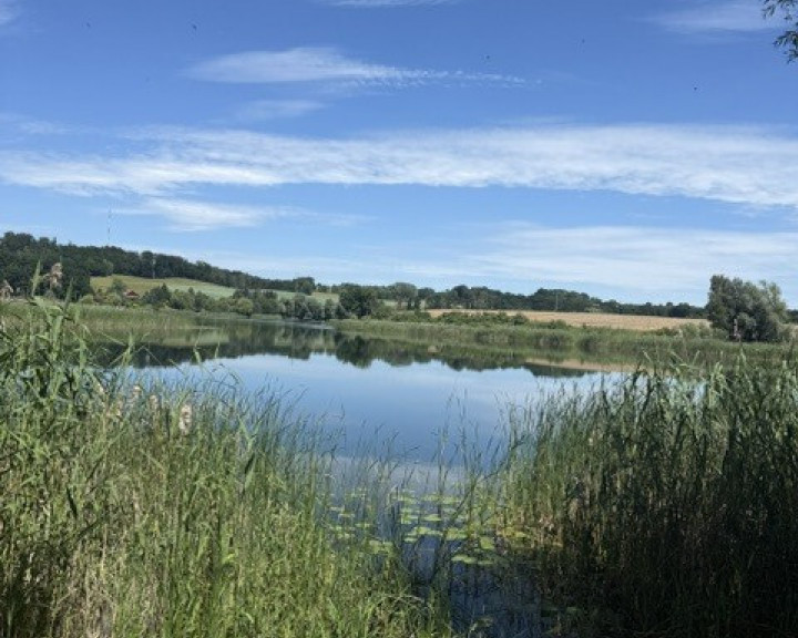Działka Wynajem Binowo