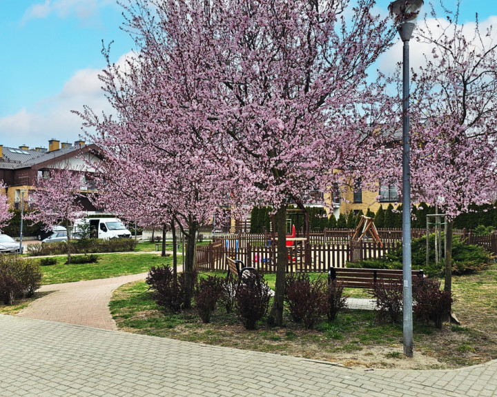 Mieszkanie Sprzedaż Szczecin Warszewo