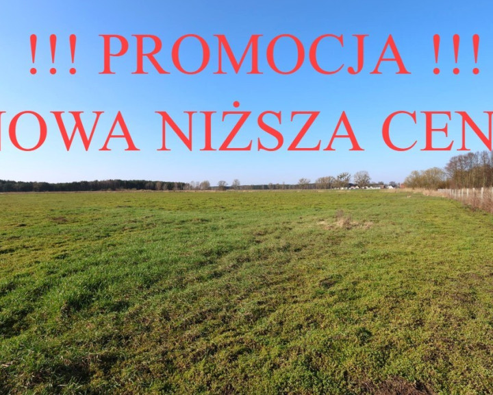 Działka Sprzedaż Lubczyna