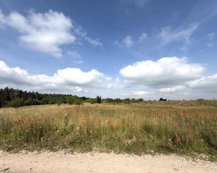 Działka Sprzedaż Daleszewo