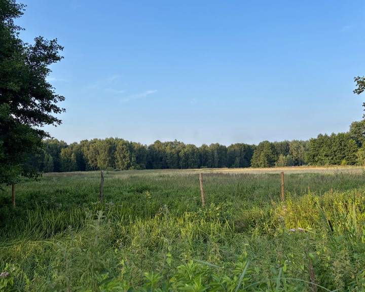 Działka Sprzedaż Tanowo