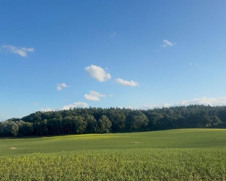 Działka Sprzedaż Buk