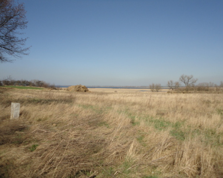 Działka Sprzedaż Turze