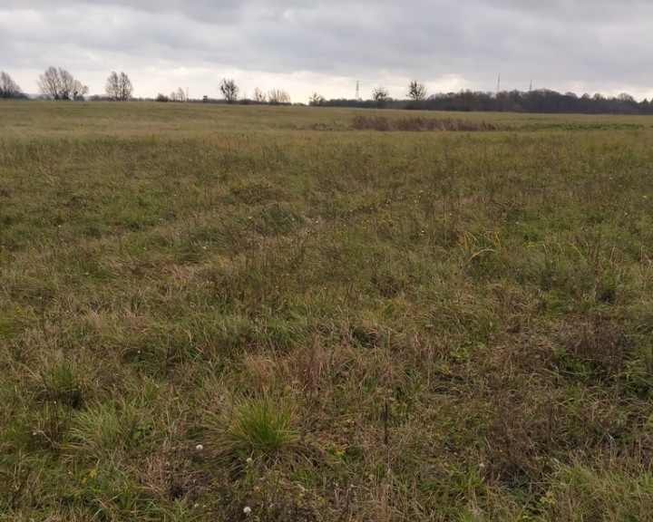 Działka Sprzedaż Szczecin Skolwin