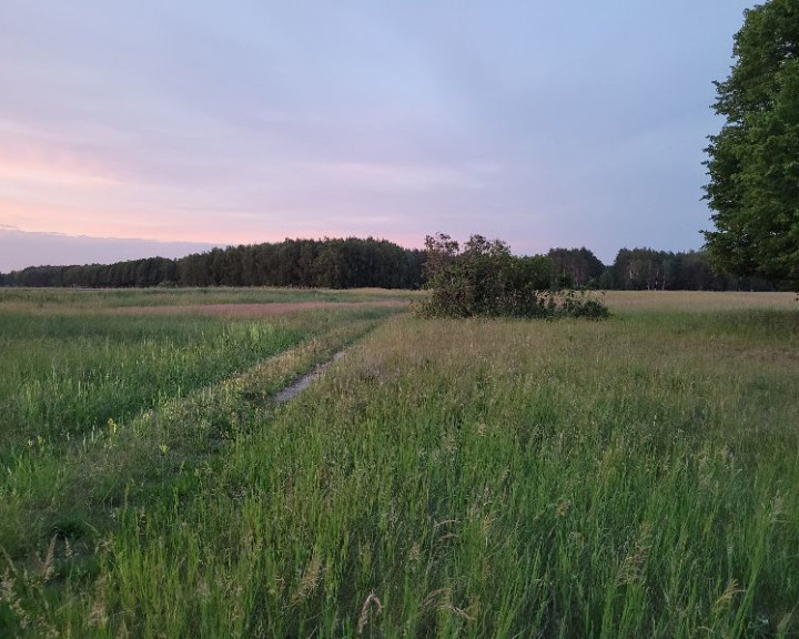 Działka Sprzedaż Lubczyna