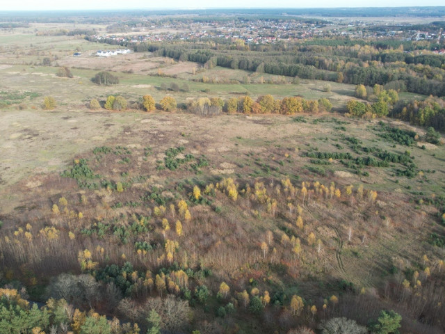 Działka Sprzedaż Buk