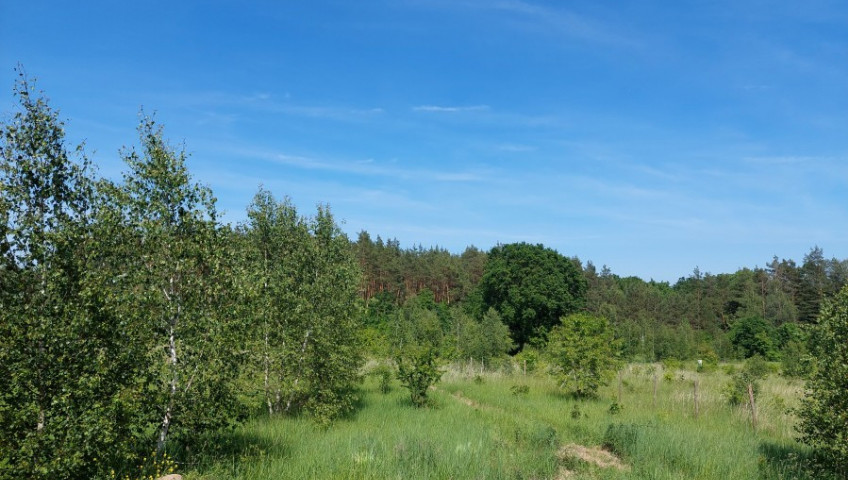 Działka Sprzedaż Kamień Pomorski