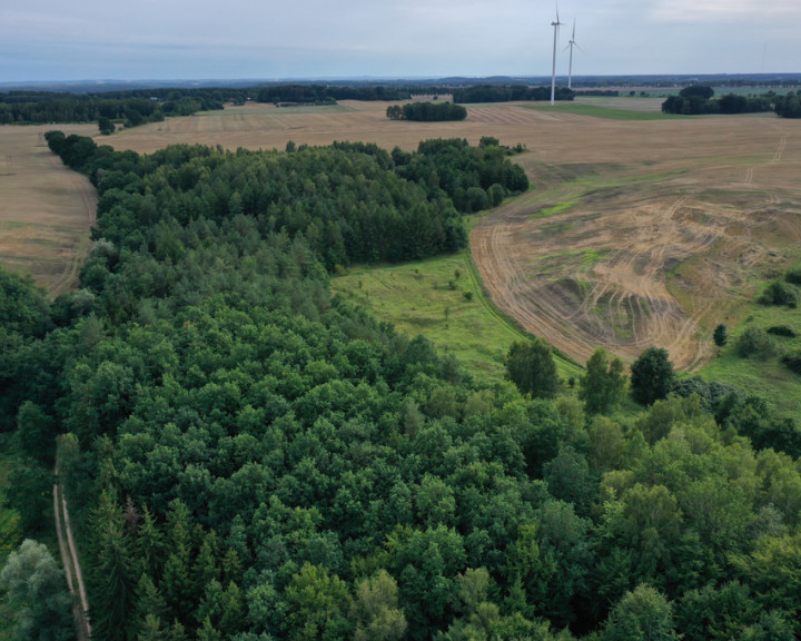Działka Sprzedaż Prusinowo