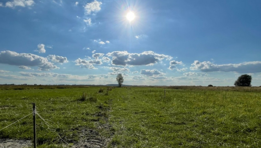 Działka Sprzedaż Wierzbno