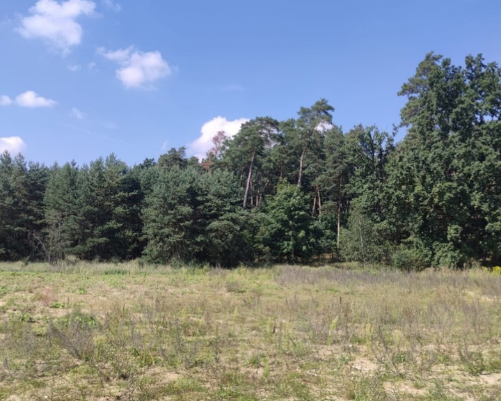 Działka Sprzedaż Kościno
