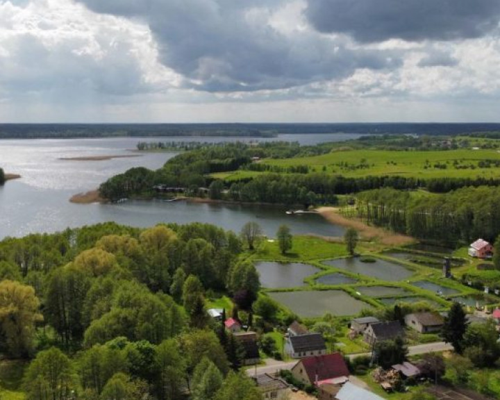 Działka Sprzedaż Lubieszewo