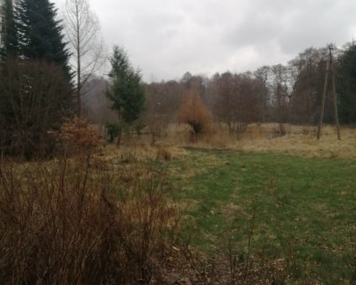 Działka Sprzedaż Stawno