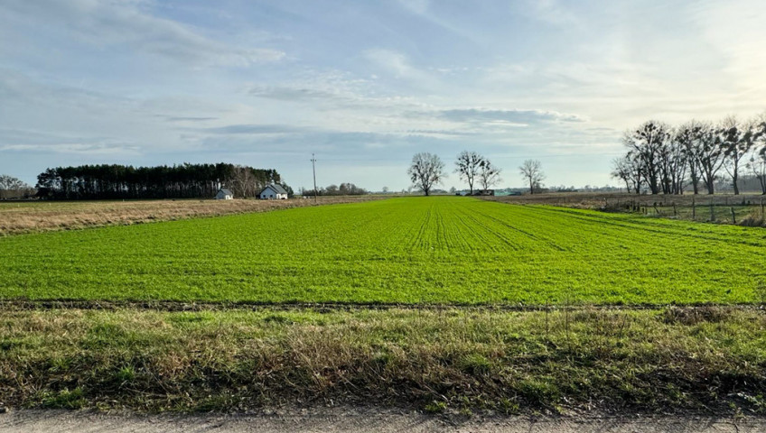 Działka Sprzedaż Borzysławiec