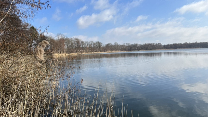 Działka Sprzedaż Choszczno